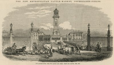 Il nuovo Mercato del Bestiame Metropolitano, Copenhagen Fields da English School