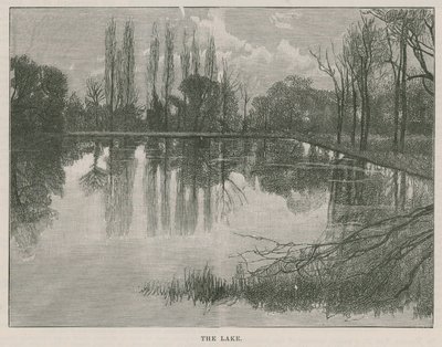 Il nuovo parco pubblico a Highgate: il lago da English School