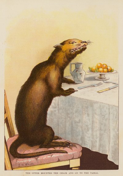 La lontra salì sulla sedia e sul tavolo da English School