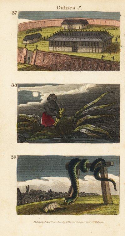 Il palazzo del Re del Dahomey ad Abomey 37, un uomo africano che nasconde un feticcio 38, e persone di Whydah che adorano un enorme serpente 39 da English School