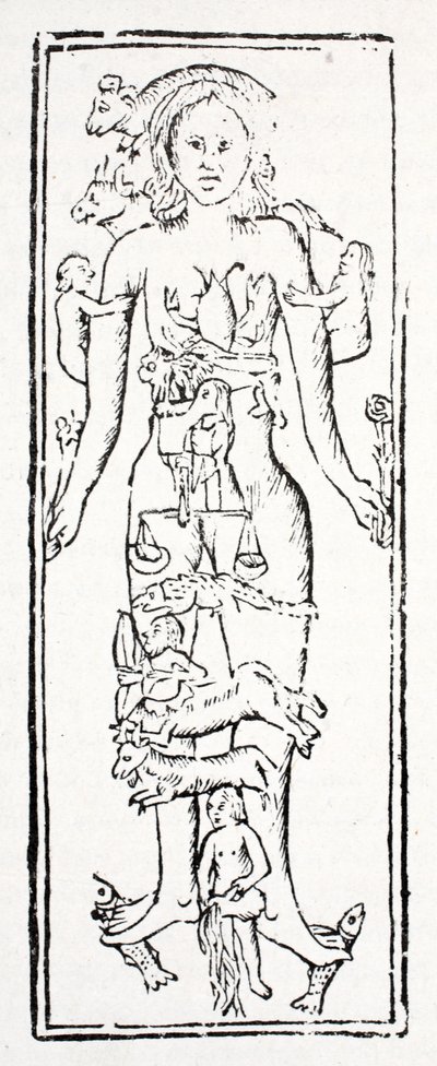 Le parti del corpo che controllano ogni segno zodiacale da English School