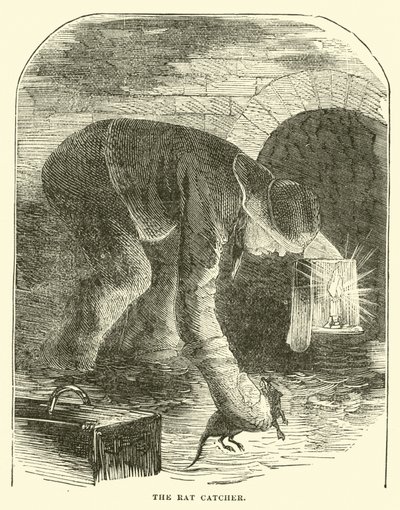 Il cacciatore di ratti da English School