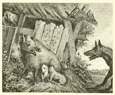 La scrofa e il lupo (incisione) da English School