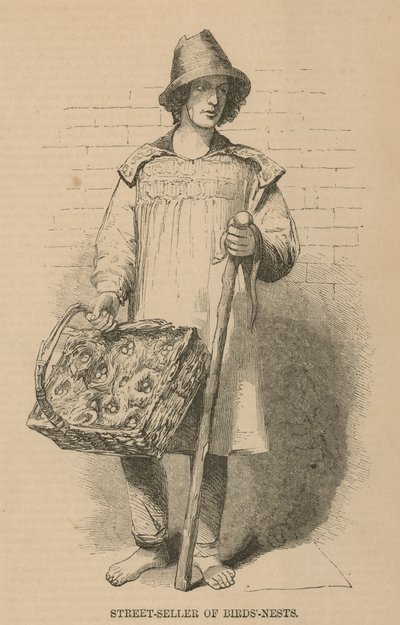 Il venditore ambulante di nidi di uccelli da English School