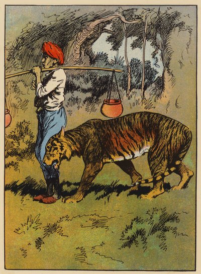 La tigre si strofina contro la gamba dell