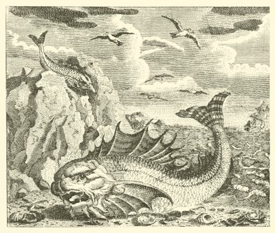 Il tonno e il delfino (incisione) da English School