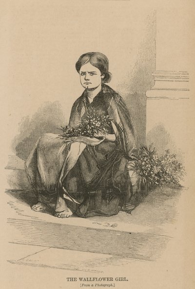 La ragazza dei fiori di muro da English School