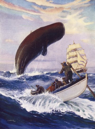 La balena sollevò tutta la sua enorme massa fuori dall