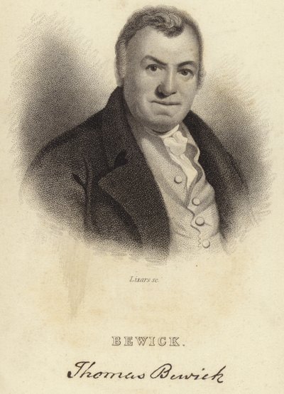 Thomas Bewick da English School