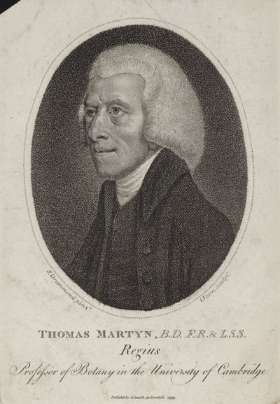 Thomas Martyn da English School