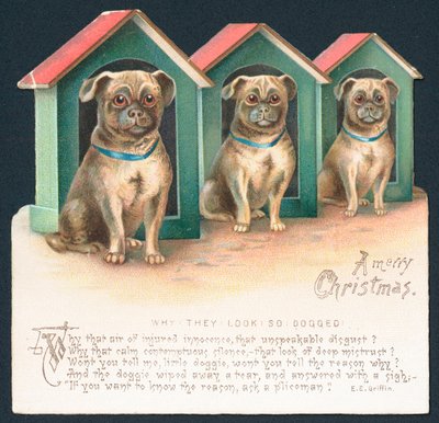 Tre cani nei canili, Cartolina di Natale da English School