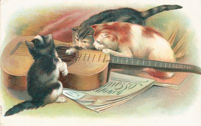 Tre gatti che giocano con una chitarra acustica da English School