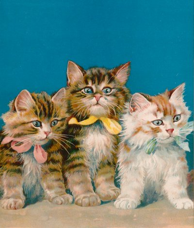 Tre piccoli gattini da English School