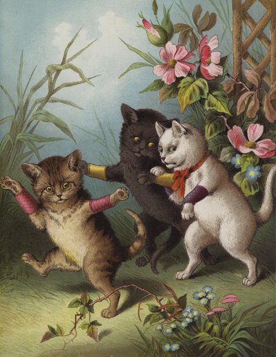 Tre piccoli gattini in un giardino da English School