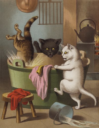 Tre piccoli gattini che giocano con una tinozza da English School