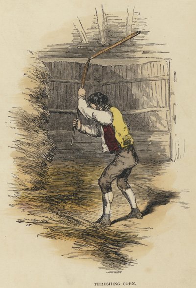 Trebbiatura del Grano (incisione colorata) da English School