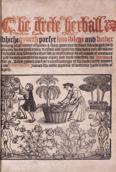 Pagina del titolo che illustra una scena di giardino con figure, 1529 da English School