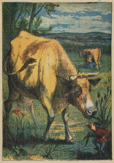 Pollicino e la Mucca da English School
