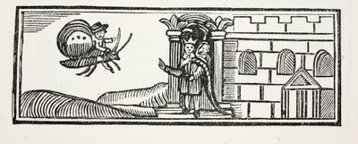 Tom si nascose e cercò di scappare sulla schiena di una farfalla, illustrazione da Chap-books del XVIII secolo di John Ashton, pub. 1882 da English School