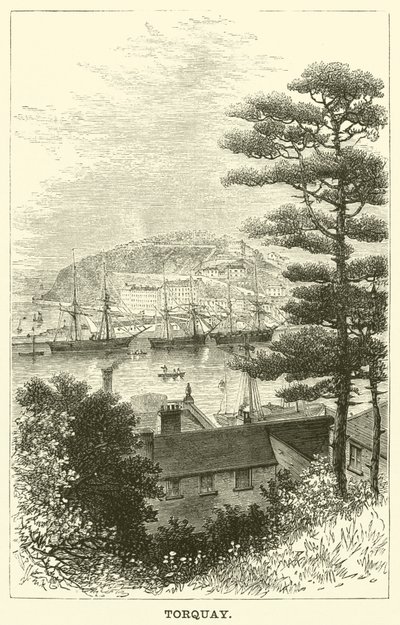 Torquay da English School