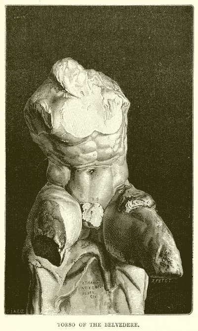 Torso del Belvedere da English School