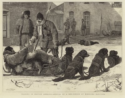 Commercio in America britannica - Arrivo di una slitta trainata da cani a Winnipeg, Manitoba da English School