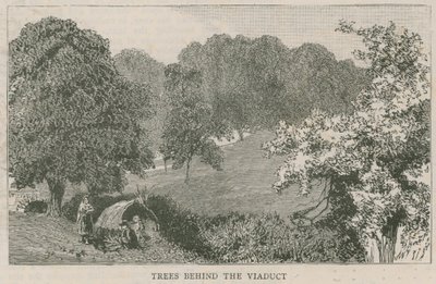 Alberi dietro il viadotto da English School