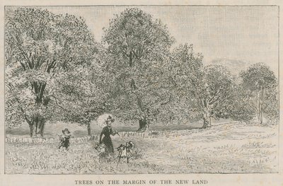 Alberi al margine della nuova terra da English School