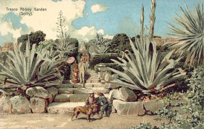 Giardino dell