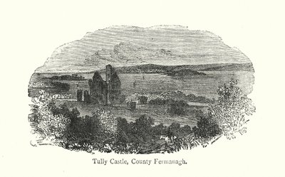 Castello di Tully, Contea di Fermanagh da English School