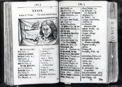 Due pagine da Orbis Sensualium Pictus di Comenius, 1659 da English School