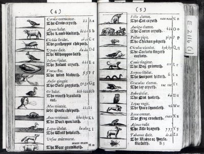 Due pagine da Orbis Sensualium Pictus di Comenius, 1659 da English School