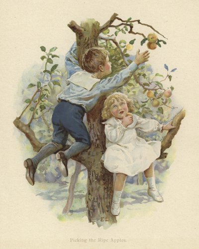 Due bambini seduti sui rami di un albero da English School