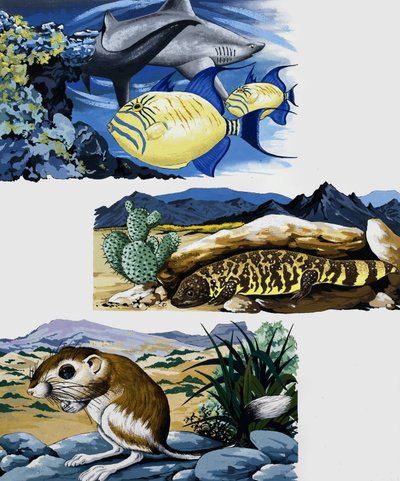 Creature sottomarine e topo da English School
