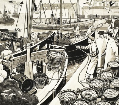 Porto di pesca non identificato con pesci sul molo da English School