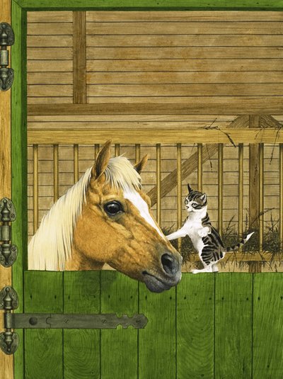 Cavallo non identificato e gattino giocoso da English School