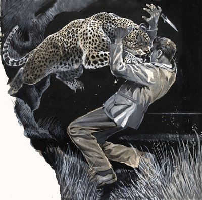Uomo non identificato attaccato da un leopardo da English School