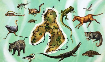 Montaggio non identificato di animali intorno alla mappa della Gran Bretagna da English School