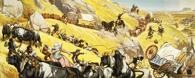 Scena non identificata del selvaggio west. Sentiero dell