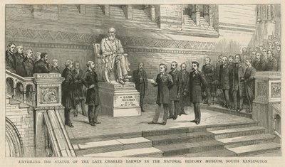 Inaugurazione della statua del defunto Charles Darwin nel Museo di Storia Naturale, South Kensington da English School