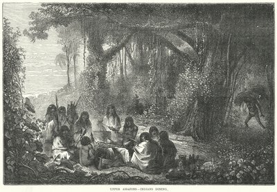 Amazzoni superiori - Indiani a tavola (incisione) da English School