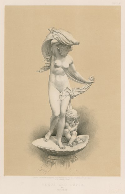 Venere e Cupido da English School