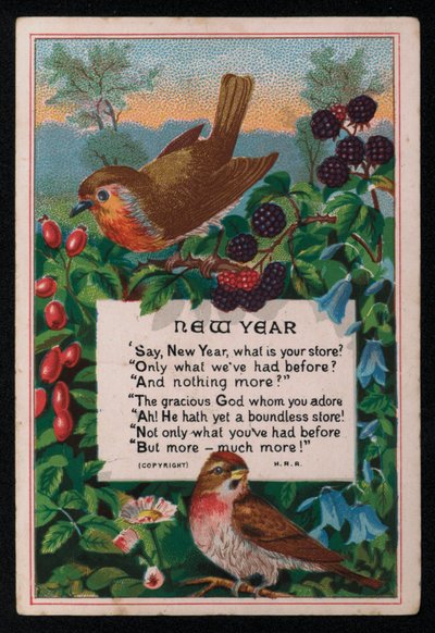Versi, bacche e uccelli, cartolina di auguri di Capodanno da English School