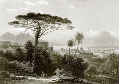 Vesuvio da English School