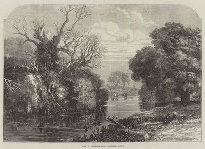 Veduta di Tichborne Park, Alresford, Hants (incisione) da English School