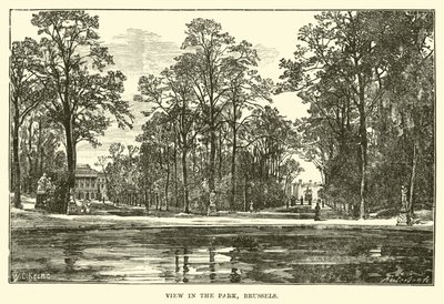 Veduta del parco, Bruxelles da English School