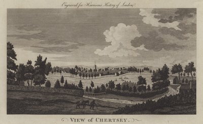 Vista di Chertsey, Surrey (incisione) da English School