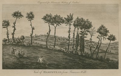 Vista di Hampstead da Primrose Hill da English School