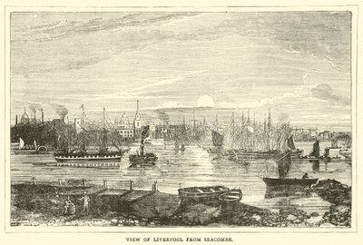 Vista di Liverpool da Seacombe da English School