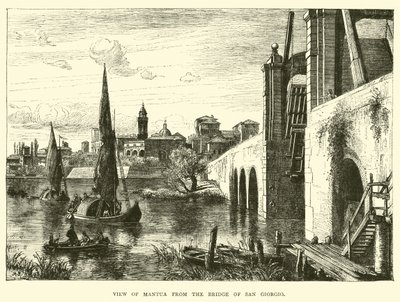 Vista di Mantova dal Ponte di San Giorgio da English School